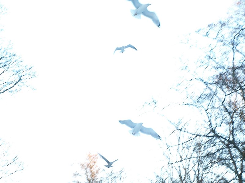 Untitled-5