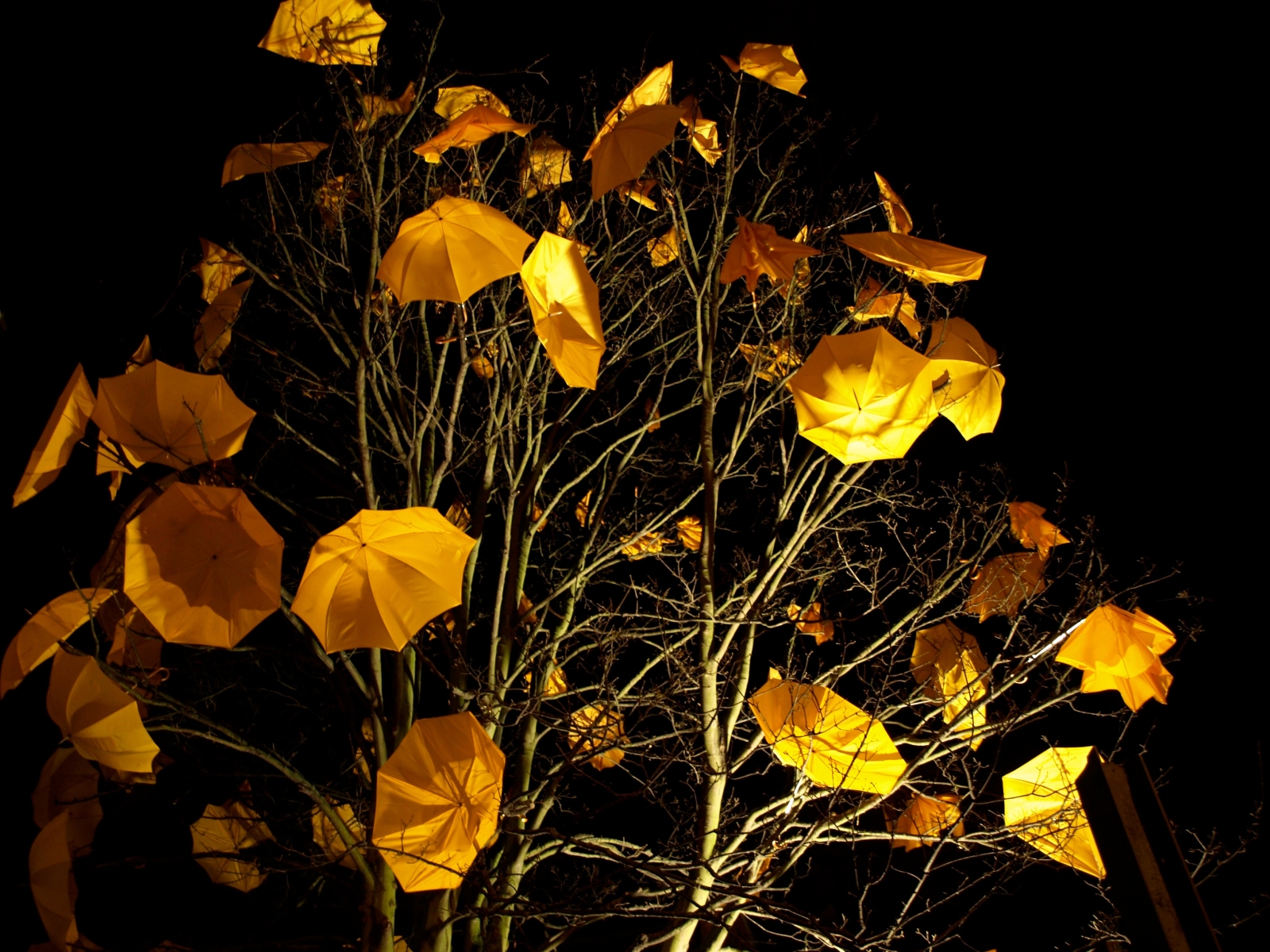 Untitled-65.1600.JPG